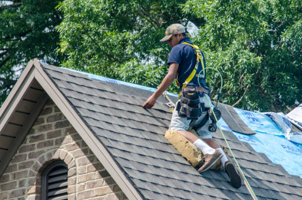 Best Storm Damage Roof Repair  in Han, GA
